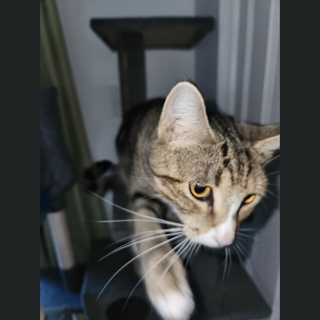 Photo of Hera