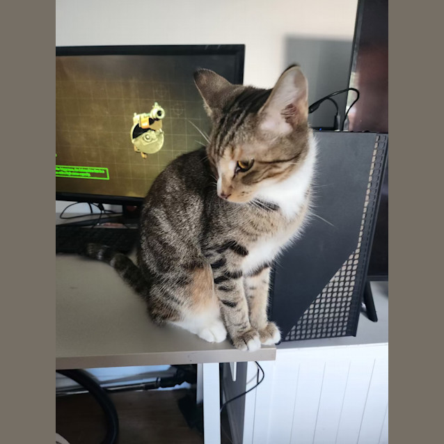 Photo of Hera