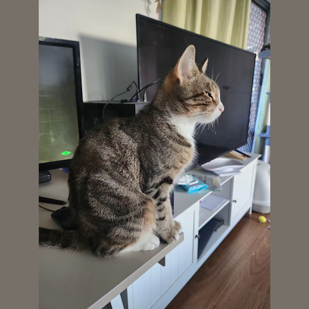 Photo of Hera