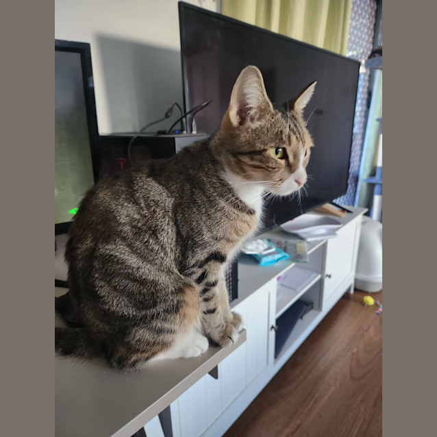 Photo of Hera