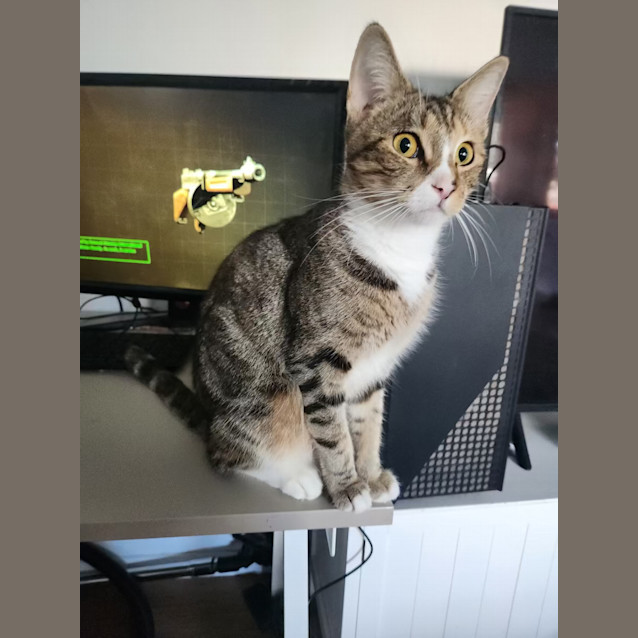 Photo of Hera