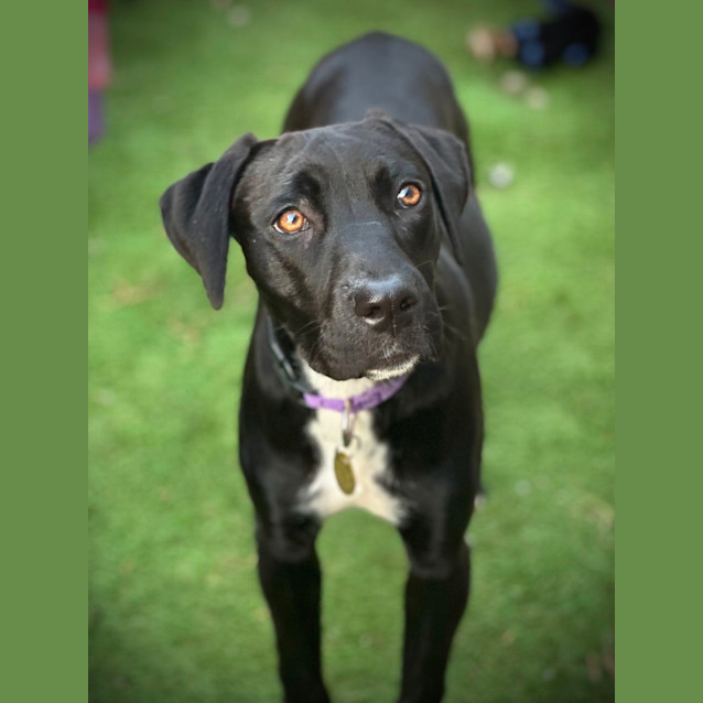 Photo of Binx
