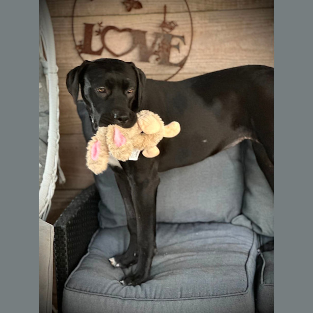 Photo of Binx