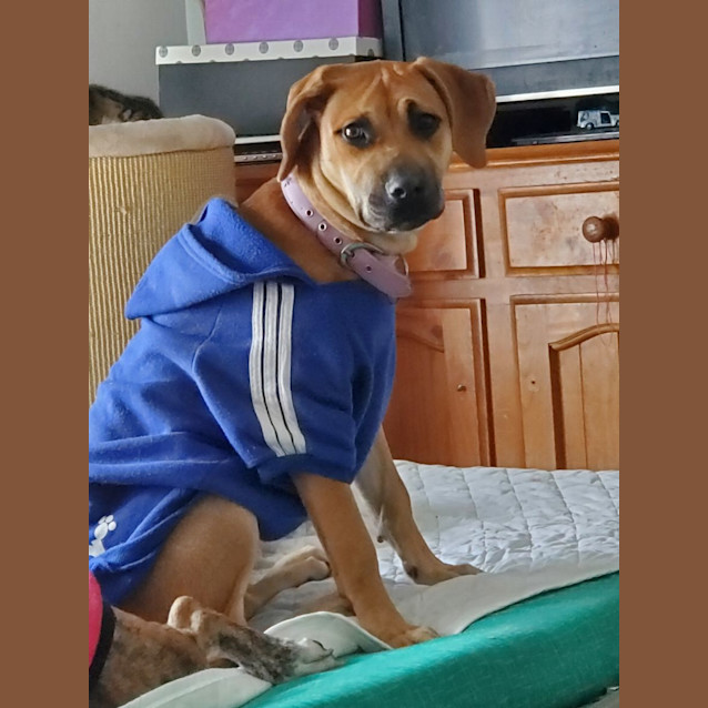 Photo of Tipsy