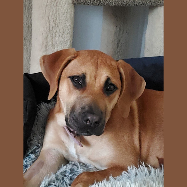 Photo of Tipsy