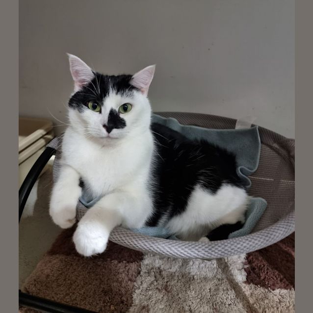 Photo of Tobi