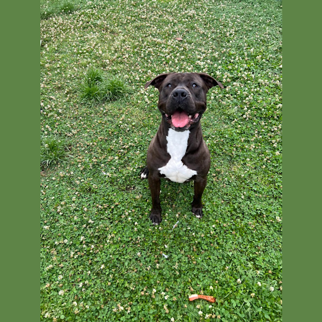 Photo of Lillie