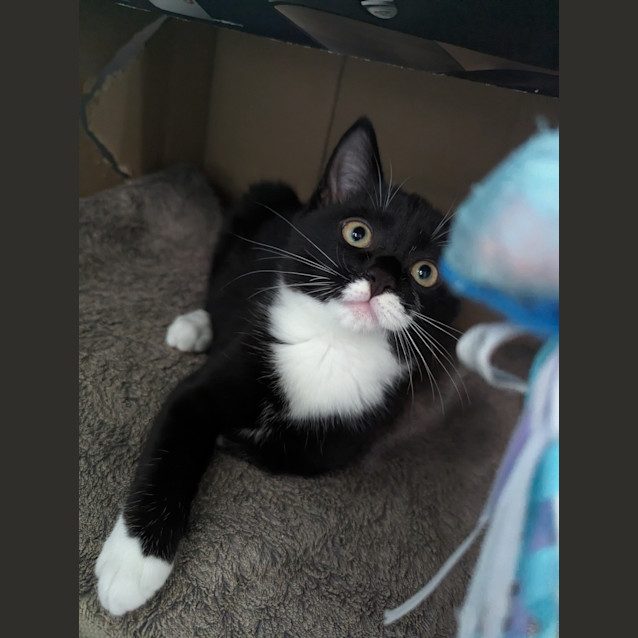 Photo of Marble