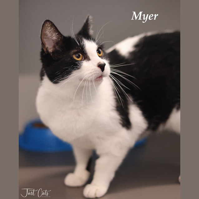 Photo of Myer