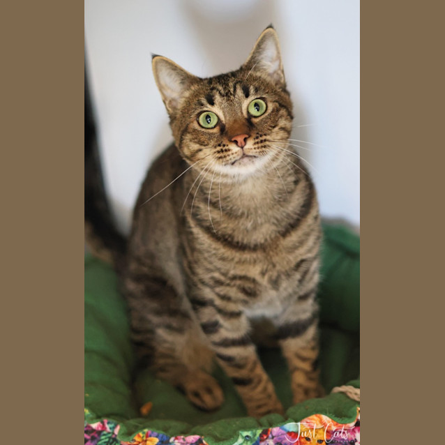 Photo of Gamble
