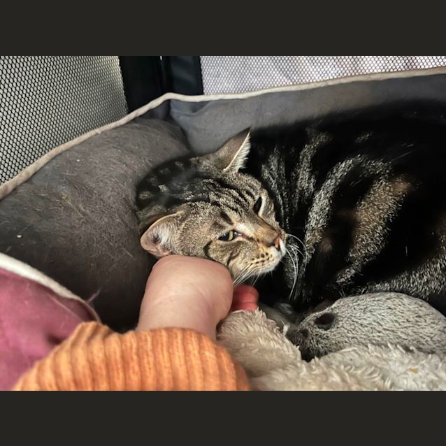 Photo of Jonesy