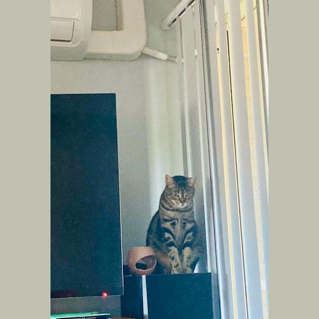 Photo of Jonesy