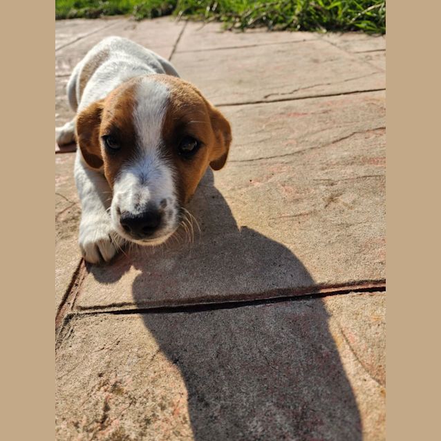 Photo of Luca