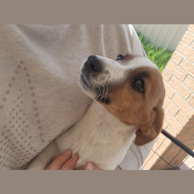 Photo of Luca