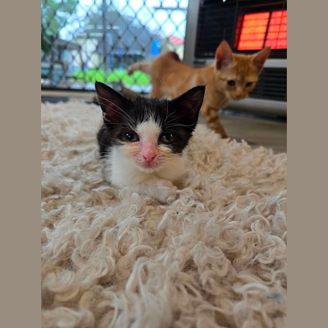 Photo of  💜 Maxine 💜