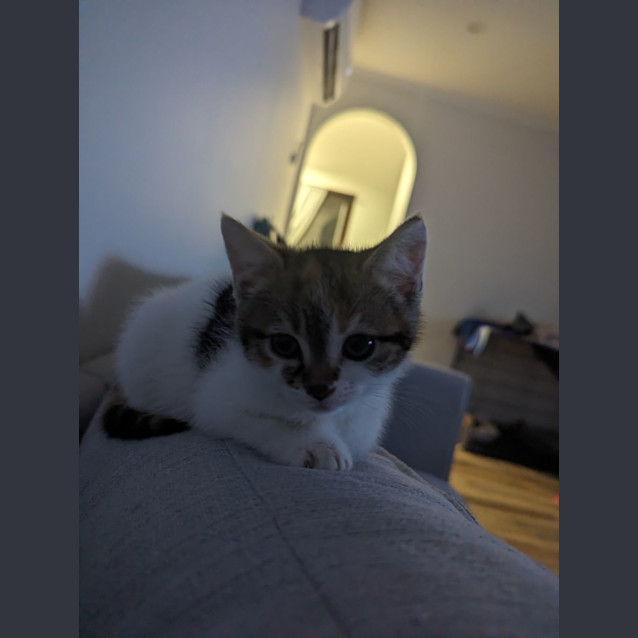 Photo of Gigi