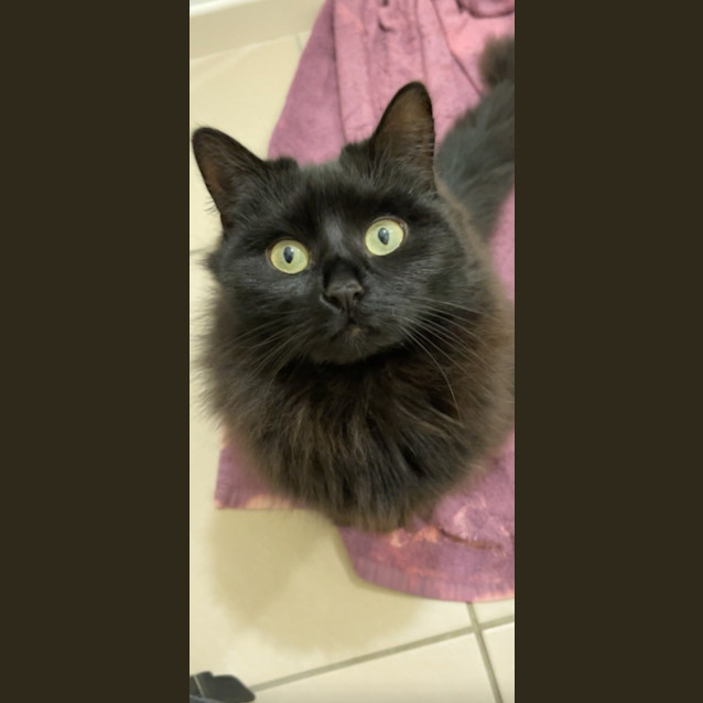 Photo of Lulu