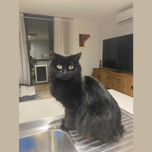 Photo of Lulu