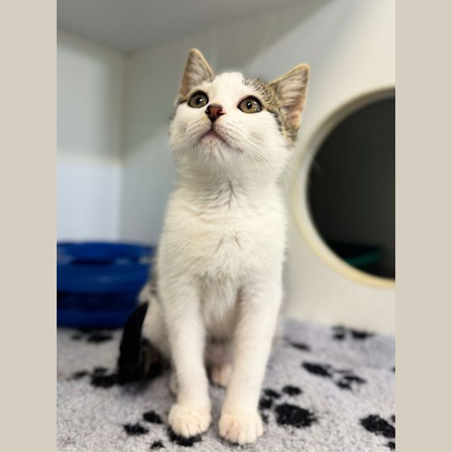 Photo of Bonnie