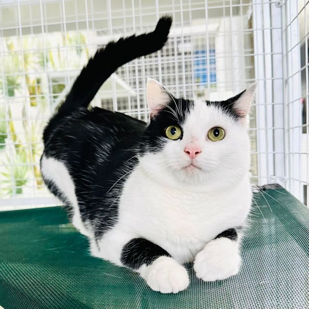 Photo of Alice   Located In Preston