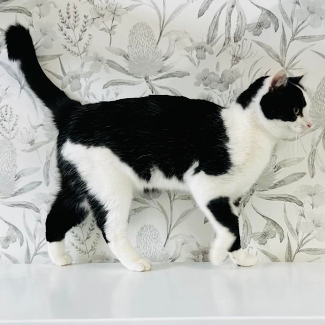 Photo of Alice   Located In Preston