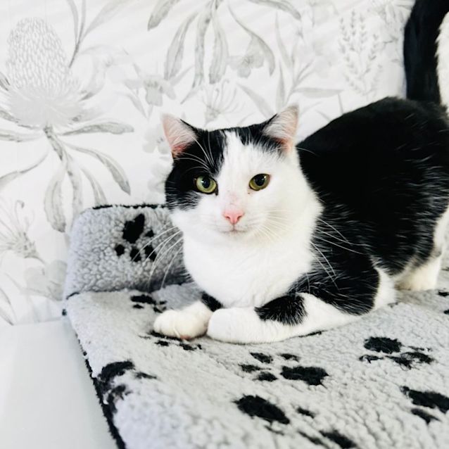 Photo of Alice   Located In Preston