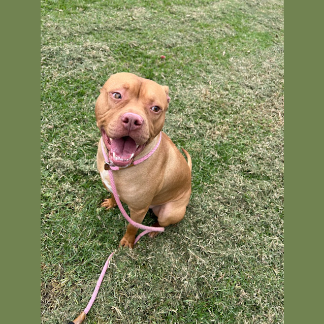 Photo of Axel
