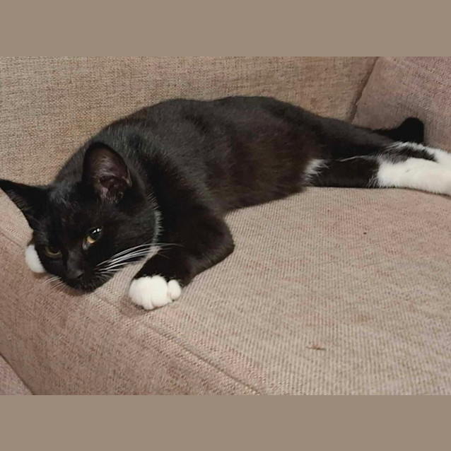Photo of Charlotte   Located In Bundoora