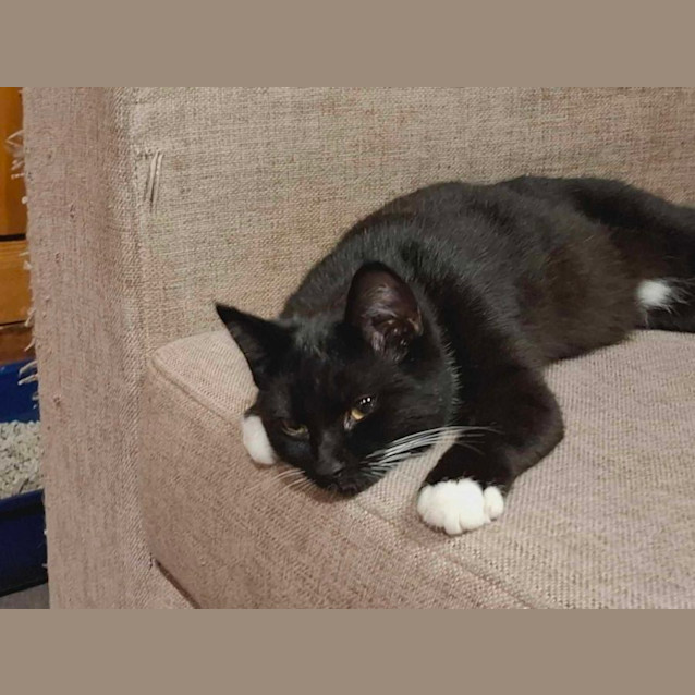 Photo of Charlotte   Located In Bundoora