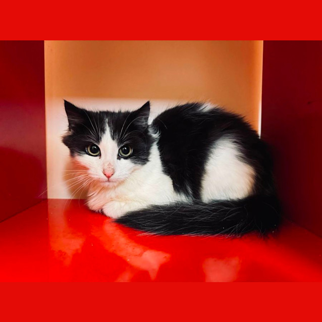 Photo of George & Reggie