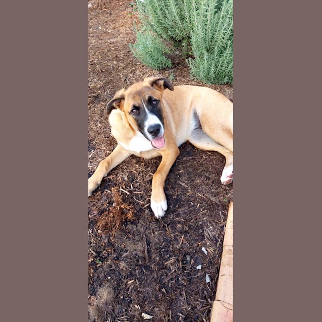 Photo of Sansa