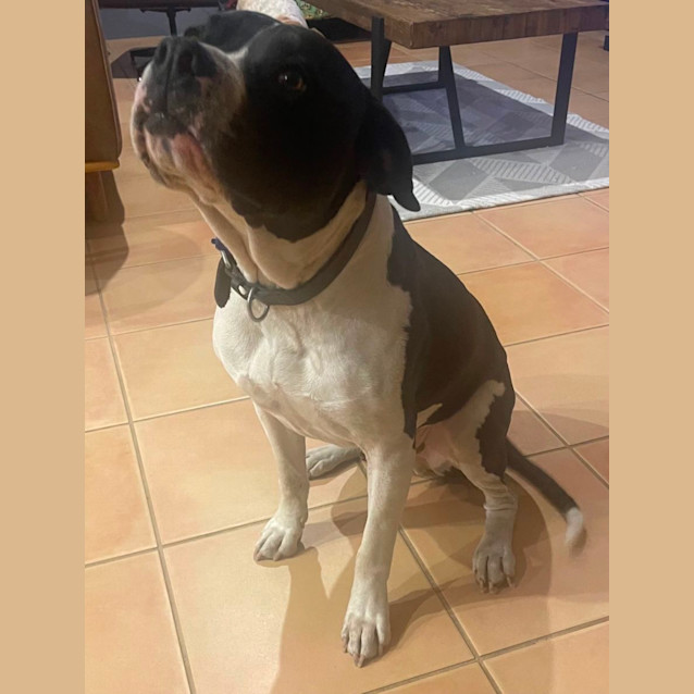 Photo of Lexi And George 