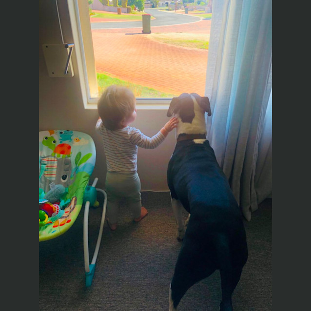 Photo of Lexi And George 