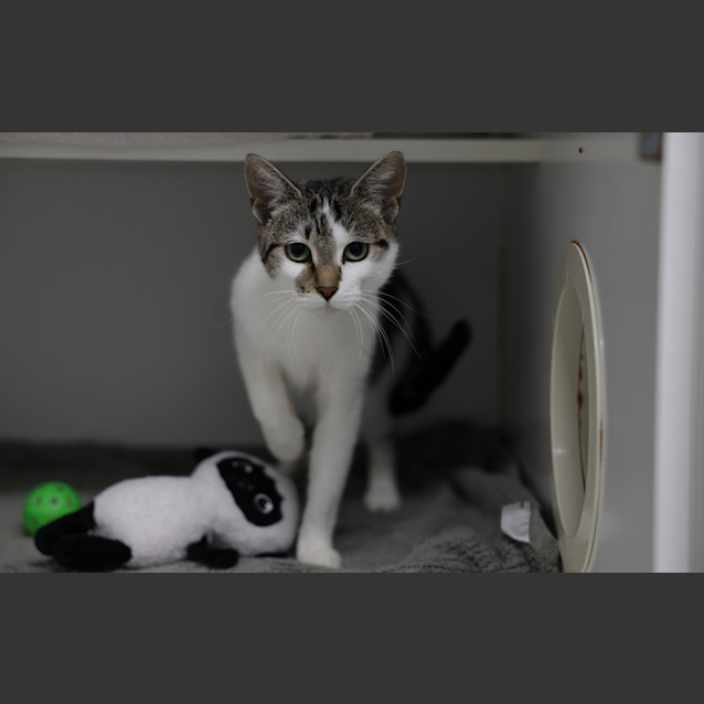 Photo of Lily