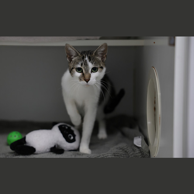 Photo of Lily