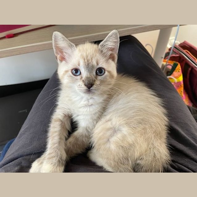 Photo of Aang