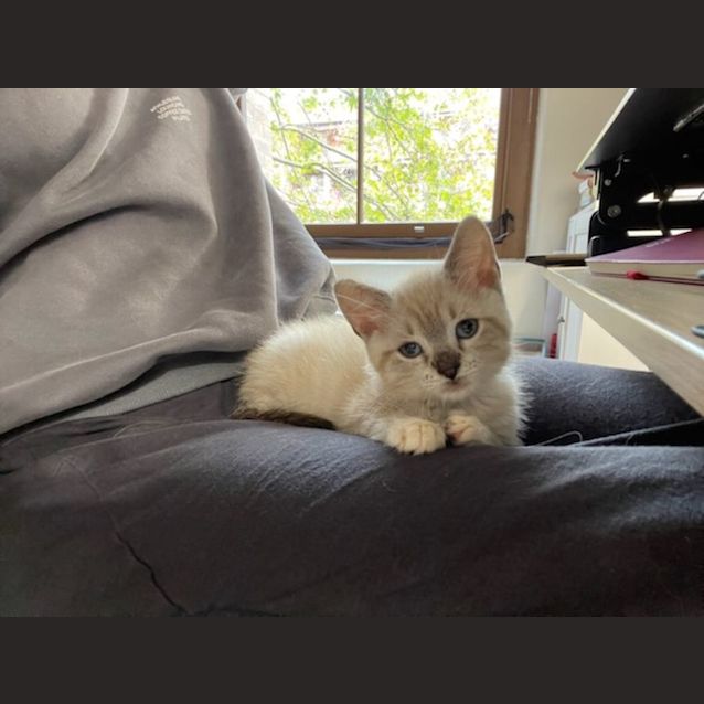 Photo of Aang