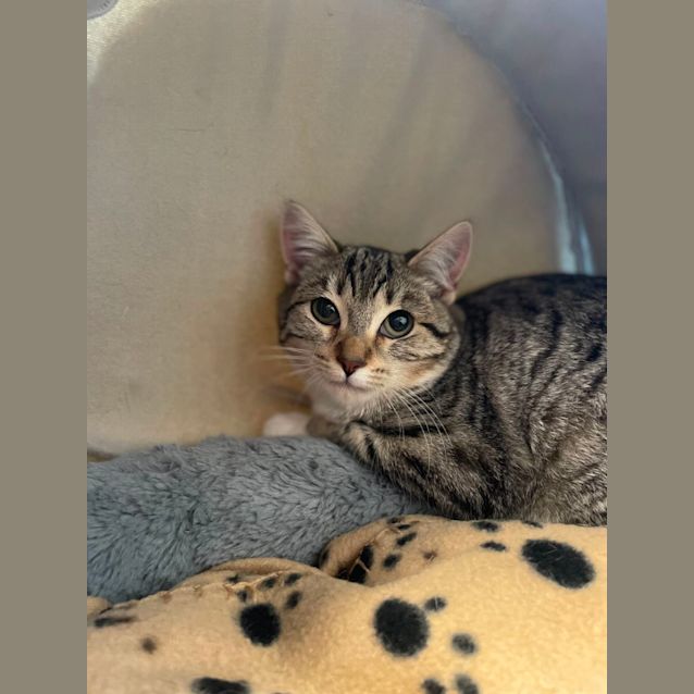 Photo of 🥗 Lentil 5107 🥗