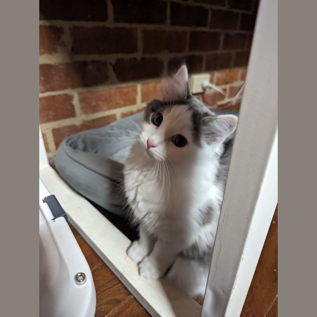 Photo of Stormy