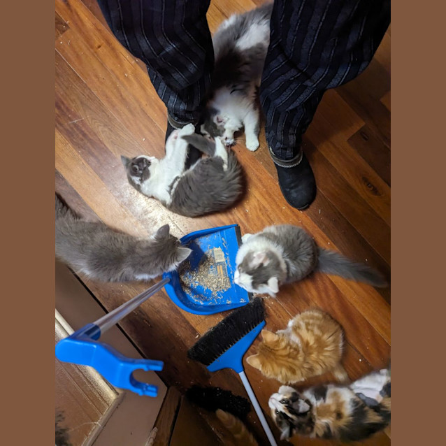Photo of Spot