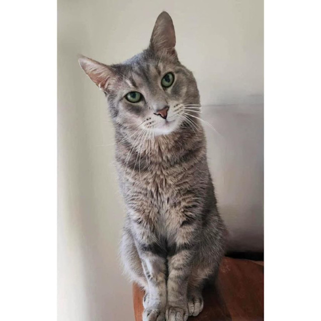 Photo of 9591   Odin