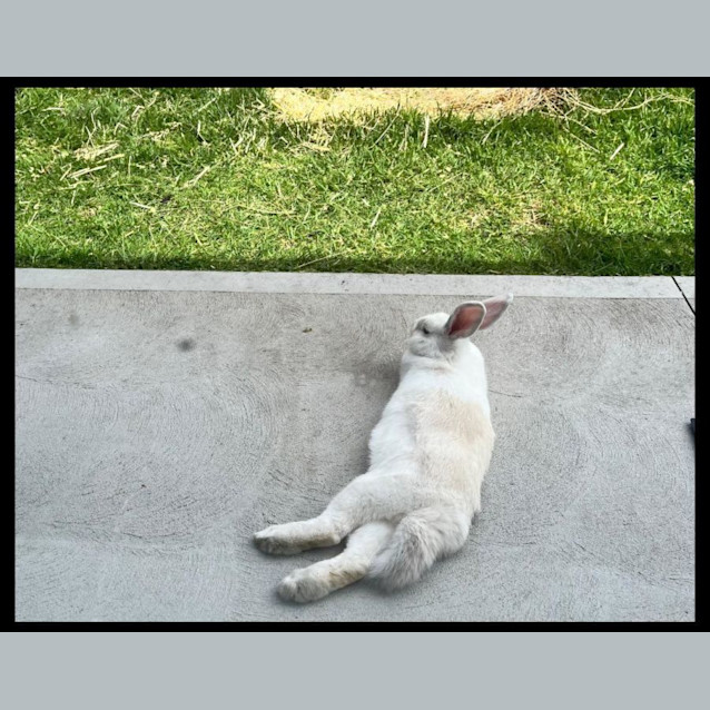 Photo of Abby