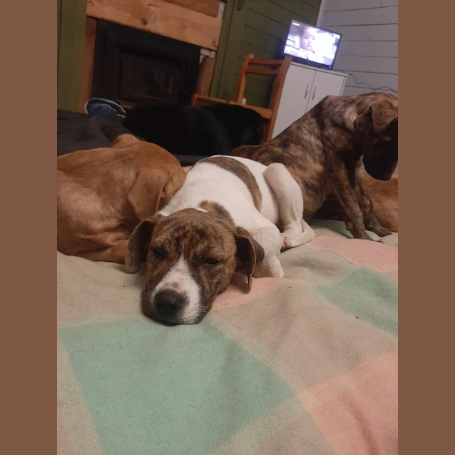 Photo of Willow 💜