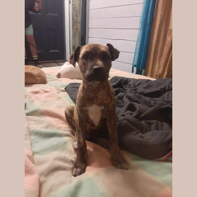 Photo of Willow 💜