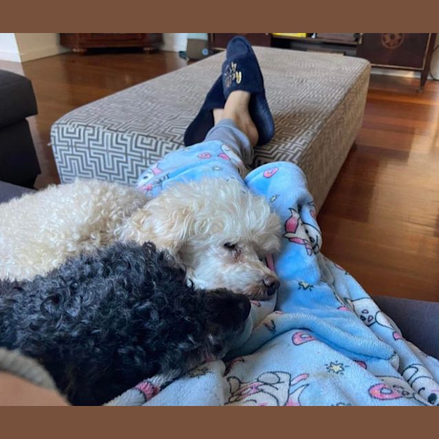 Photo of Panda & Oscar 