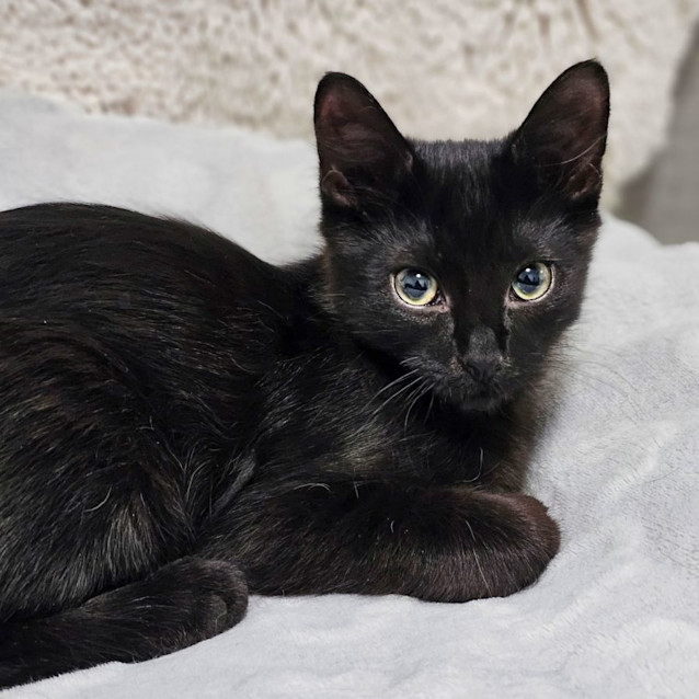 Photo of Zuko