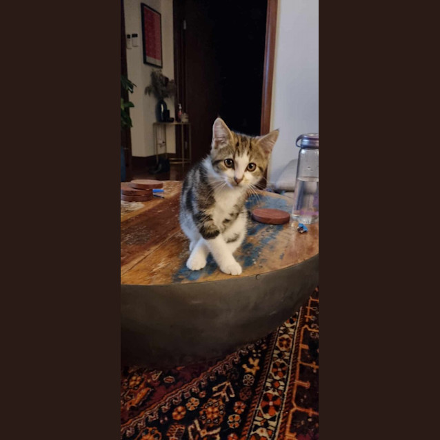 Photo of Hugo