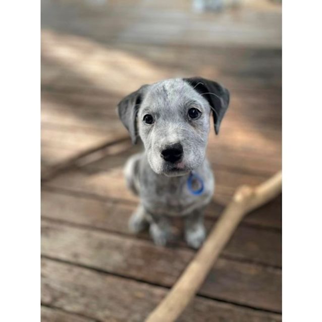 Photo of Finley