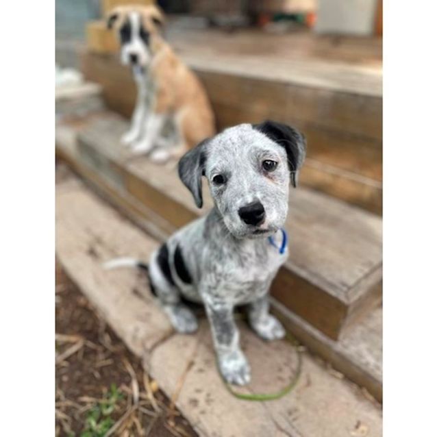 Photo of Finley