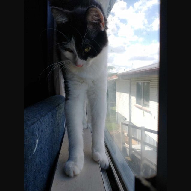 Photo of Luna